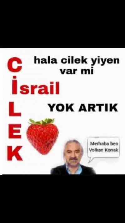 Vay hainler