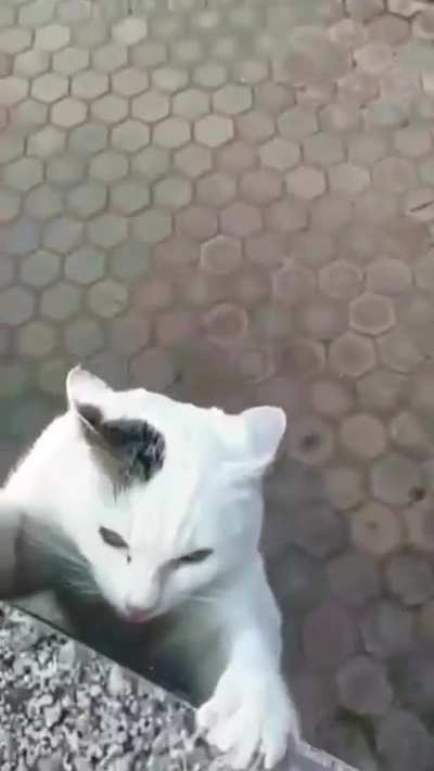 Alternative ending