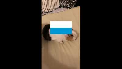 Bavaria joining the German Empire in a nutshell