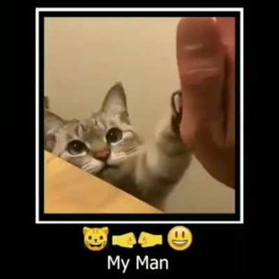 my man