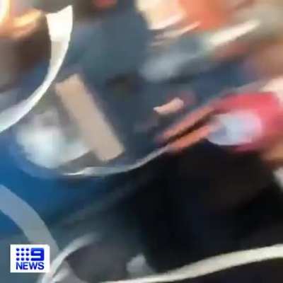 Large spider falls on Australian pilot while he’s landing the plane