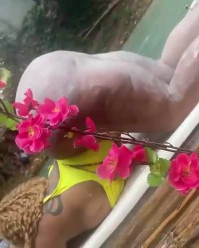 Tropical Booty