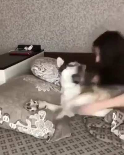 “STOP HUGGING ME!” *stops hugging* “Why did you stop hugging?”