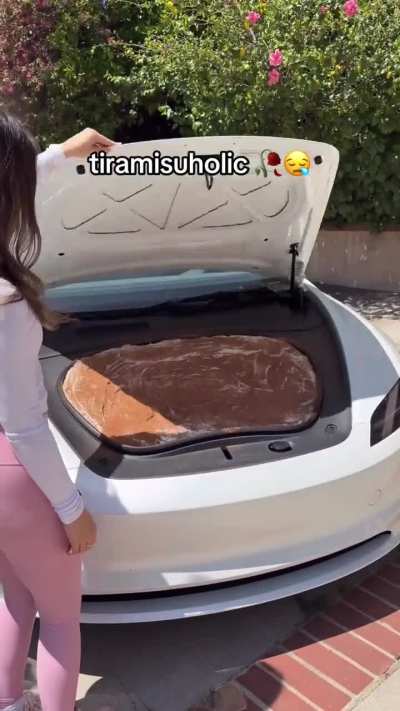 New Model: Teslamisu