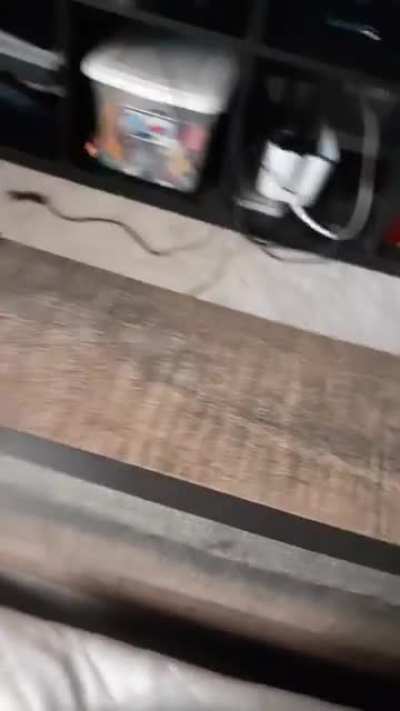 Stupid fucking burger man stop drawing