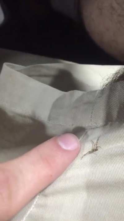 I just wanted to pet it…
