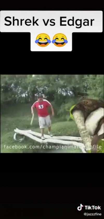 Que haces wey!!??