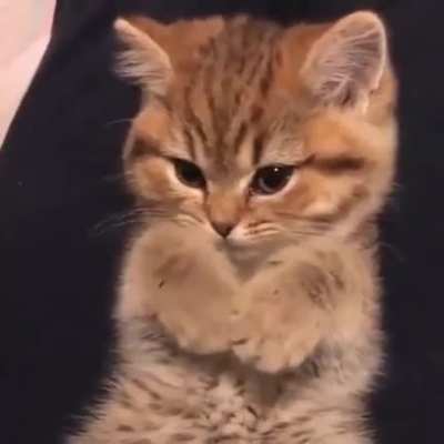 Air Taps!