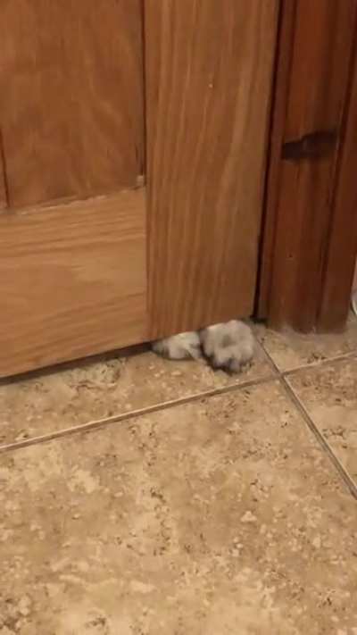 Can’t even pee in peace…