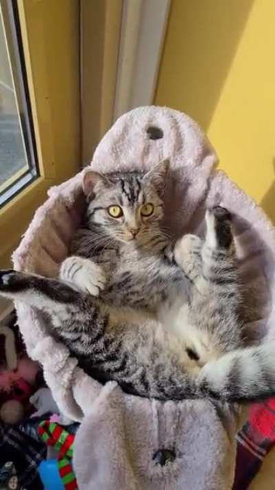 Champ does not give a fuck
