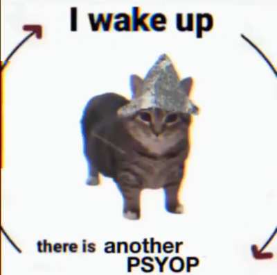 I need to follow the rules