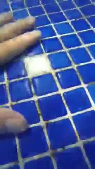 Blursed_Pool
