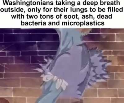 😶‍🌫️