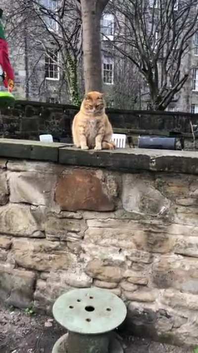 A very polite young man