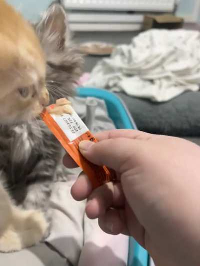she can never have anything to herself