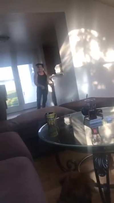 My dog chasing my brother in law only to pounce at the most perfect time.