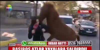 🐴