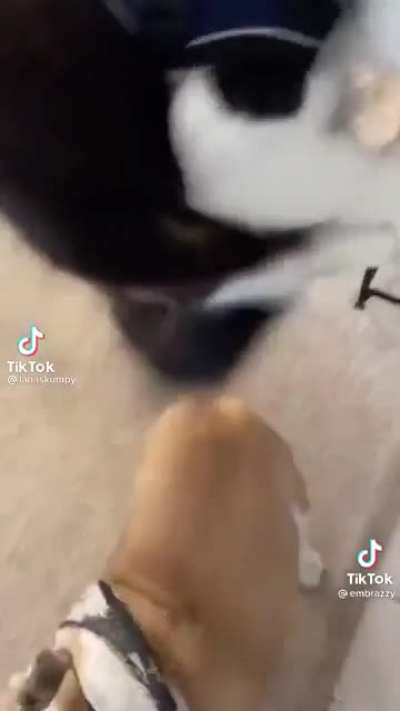 Parkour never gets old