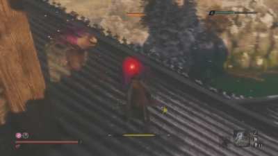 Now this is one of my greatest sekiro achievements.