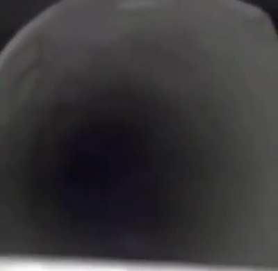Pipoca?????