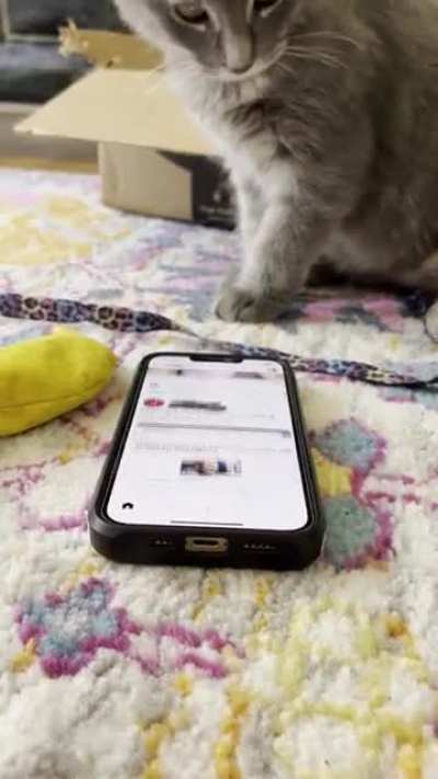 Touch Tha Reddit