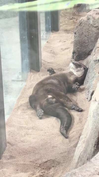 Went to the aquarium today