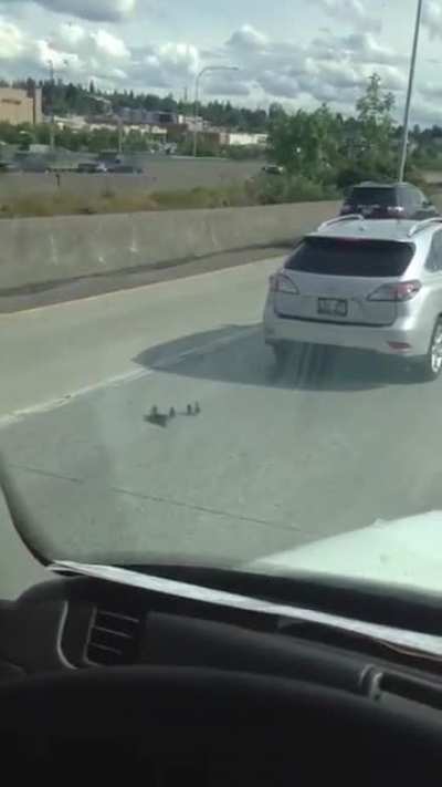 Is it just me or r/ExtremeCarCrashes turning into r/watchpeopledie or r/makemycoffin?