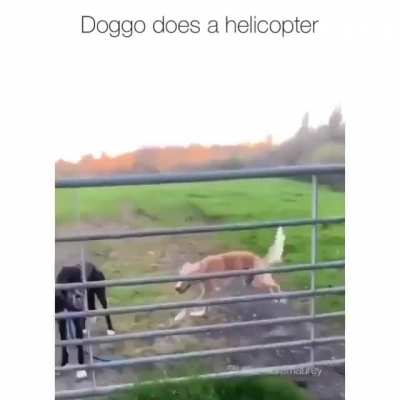 Perfect round wiggle doesn’t exis