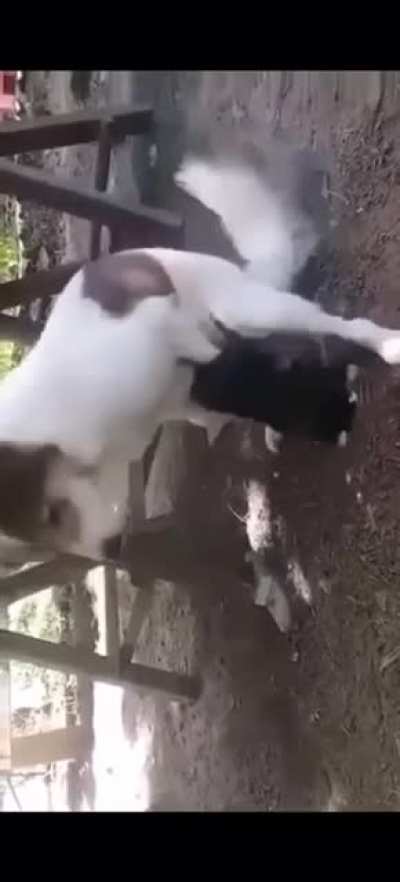Jesus christ 😂