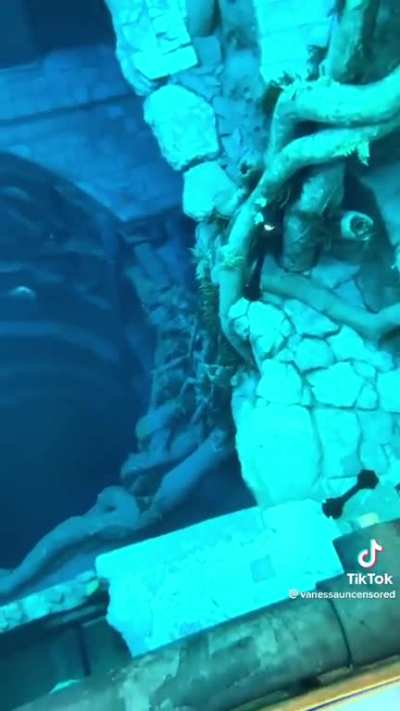 Worlds deepest pool
