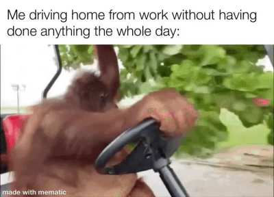 meirl