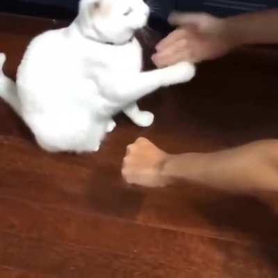 Maybe maybe maybe 