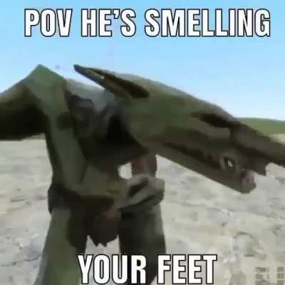 rule