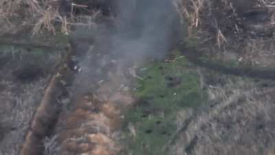 Ukrainian units eliminate Russian infantry in Zaporizhzhia & Donetsk using drones (65 OMBr, 79 OSHBr & Shadow division)