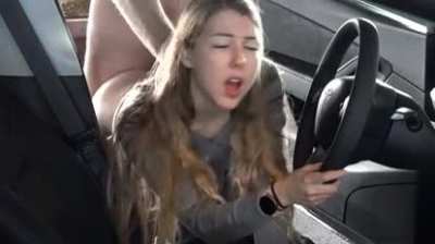 Doggy in the car