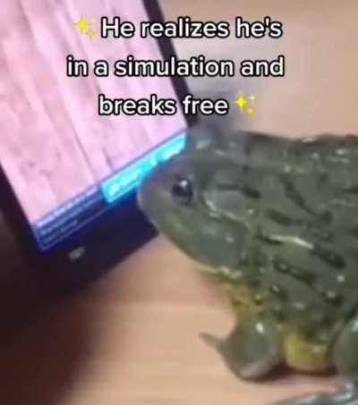 Hes broken from the simulation