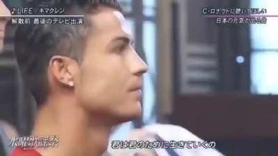 Hermoso bicho