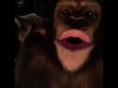 Ape Scream