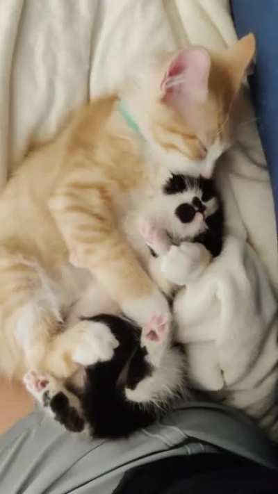 So Precious ♥️