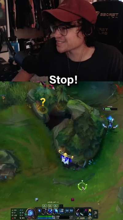this warwick would not leave me alone...
