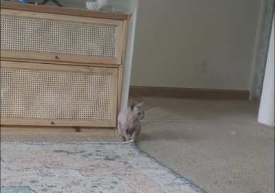 She likes to yell.