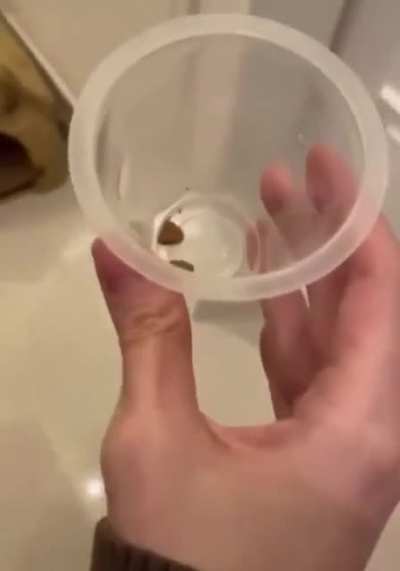 He was so upset!