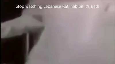 Reggie is Haram! Watch Assad Instead!