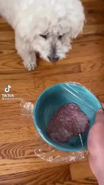 Doggo berserk