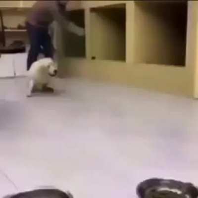 ....