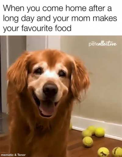 This makes my day