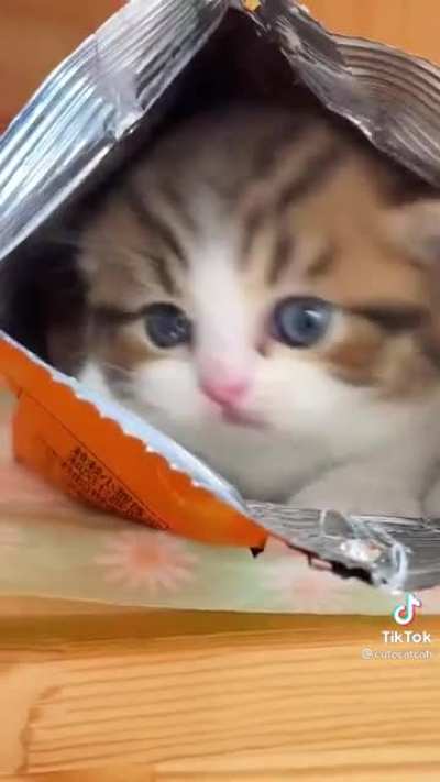 🥺🥺