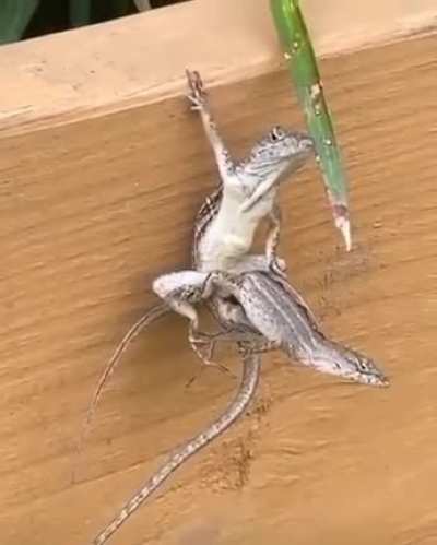 dont mind me just saving this