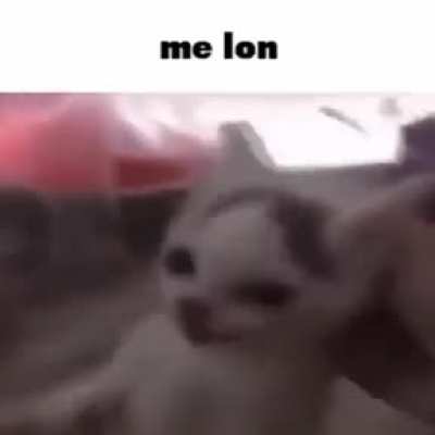 Me lon