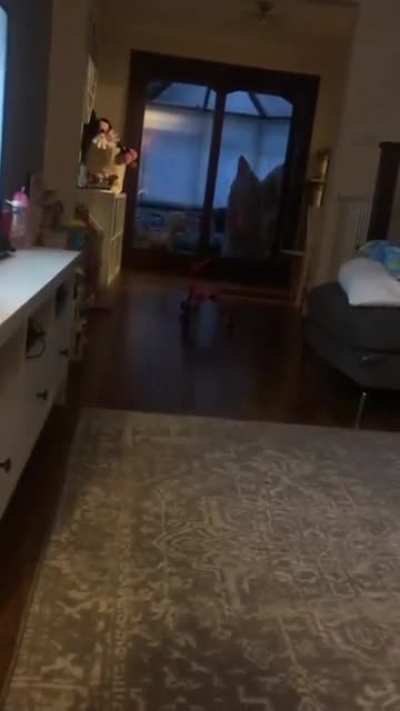My niece screaming SLAYER